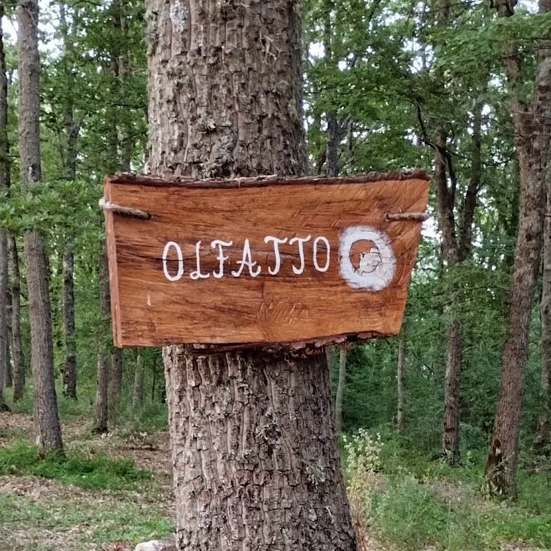 Bosco Faiete - Guardie Ambientali