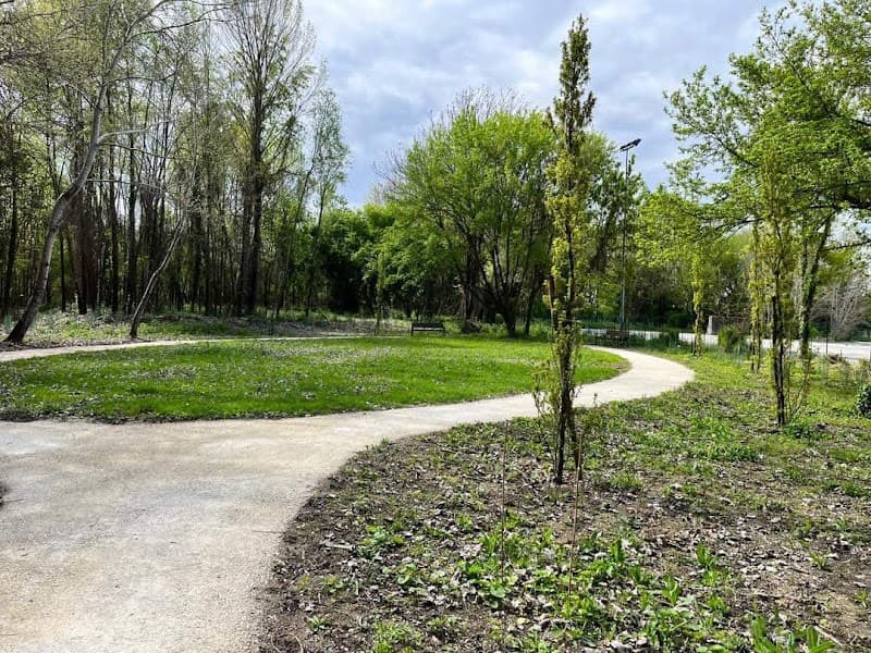 Bosco Urbano di San Paolo