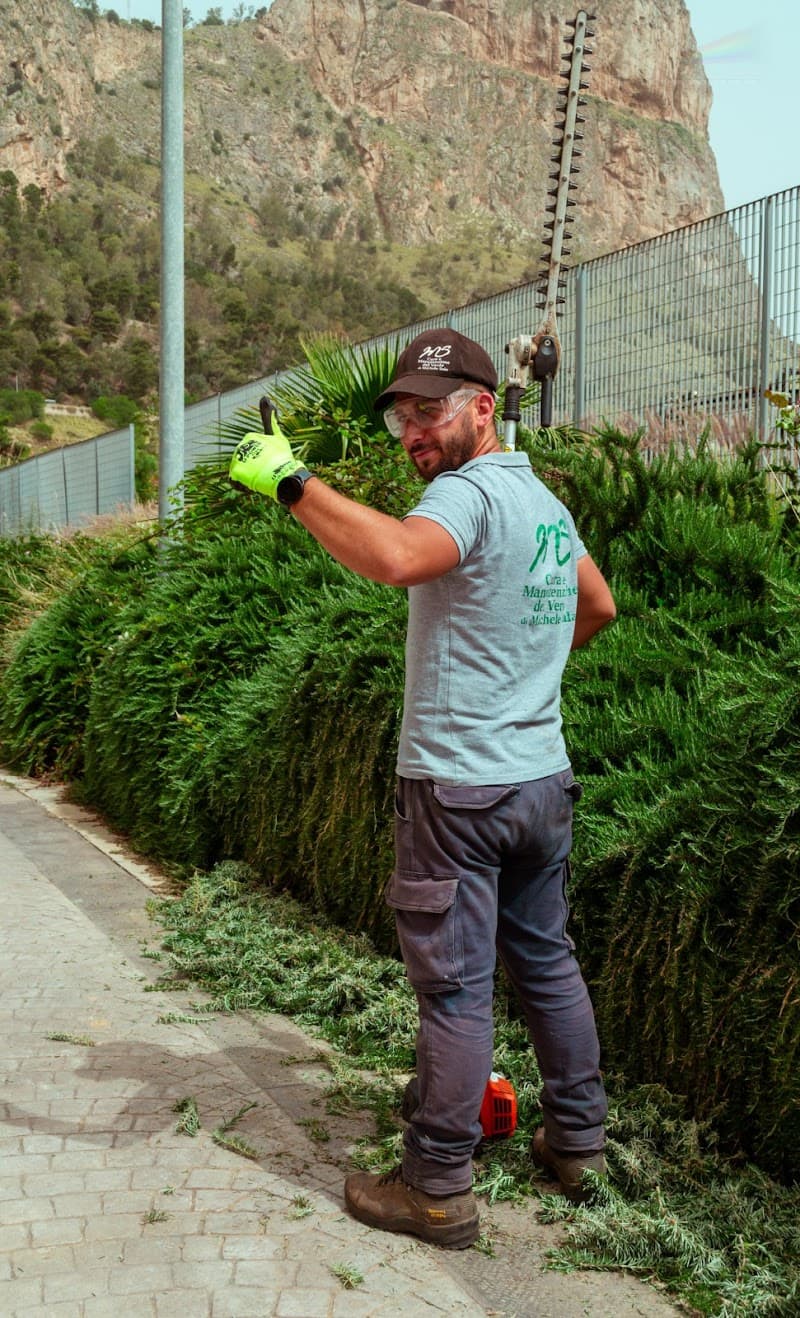 Cura e Manutenzione del Verde di Michele Sala