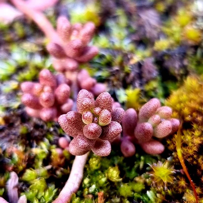 Di Giovanni Gabriele Impianti Termici Idrici Elettrici