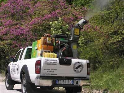 Disinfestazioni Derattizzazioni Stopper