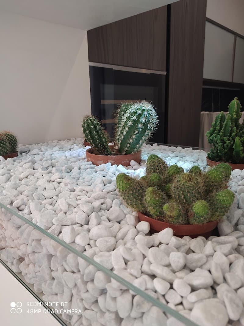 Fdd.costruzioni S.r.l.s.