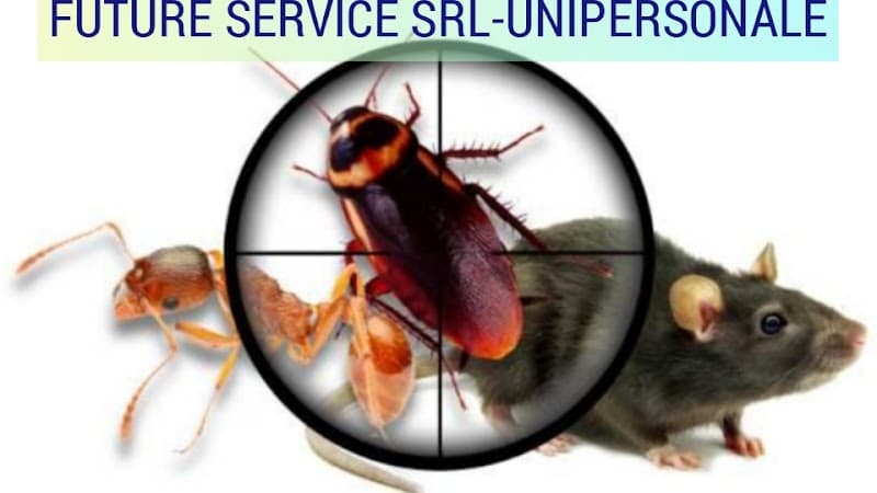 Future Service S.r.l. - Unipersonale