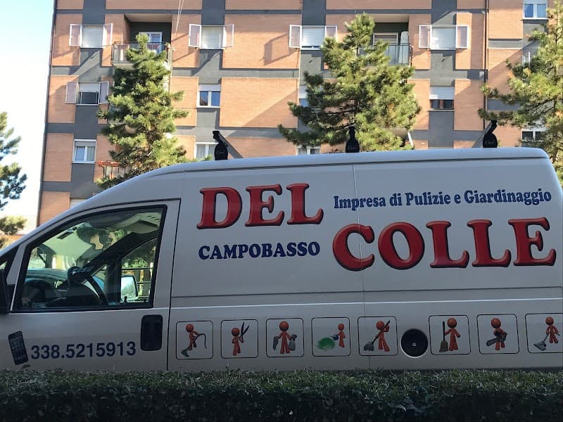 Impresa di pulizie Del Colle SCARL