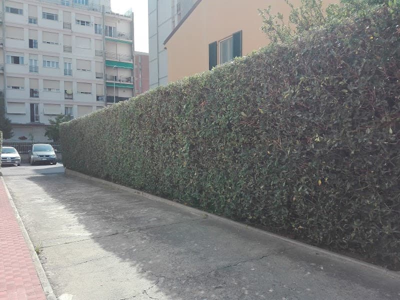 Magica RC Service srlsu