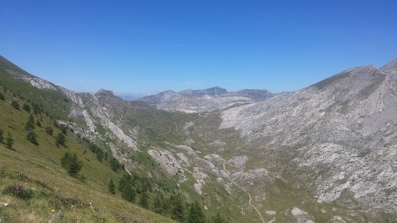 Maglio A. Snc Di Maglio Marina E Maglio Antonella