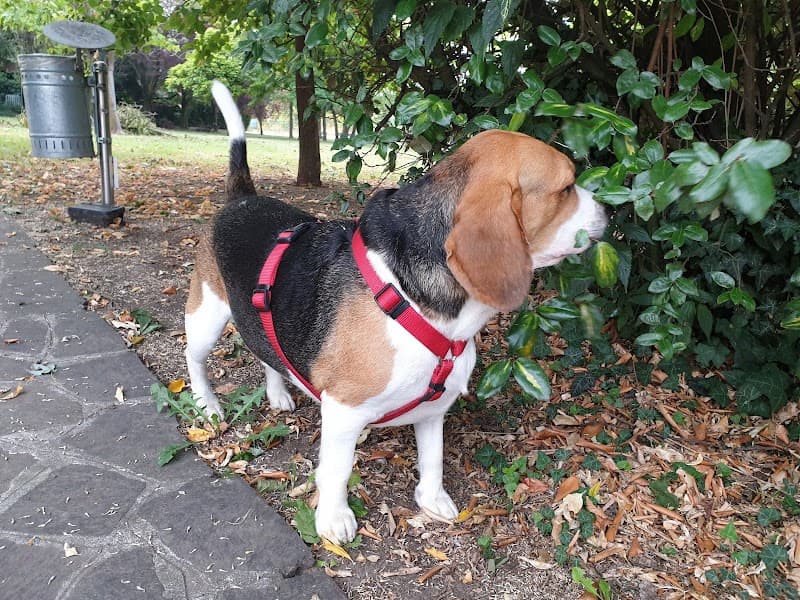 Parco della Solidarietà