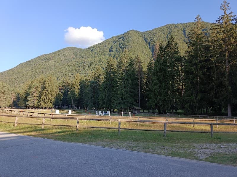 Pineta di Santa Maria Maggiore