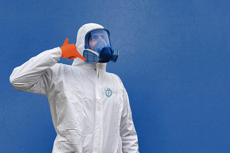 Pronto Pio Disinfestazioni