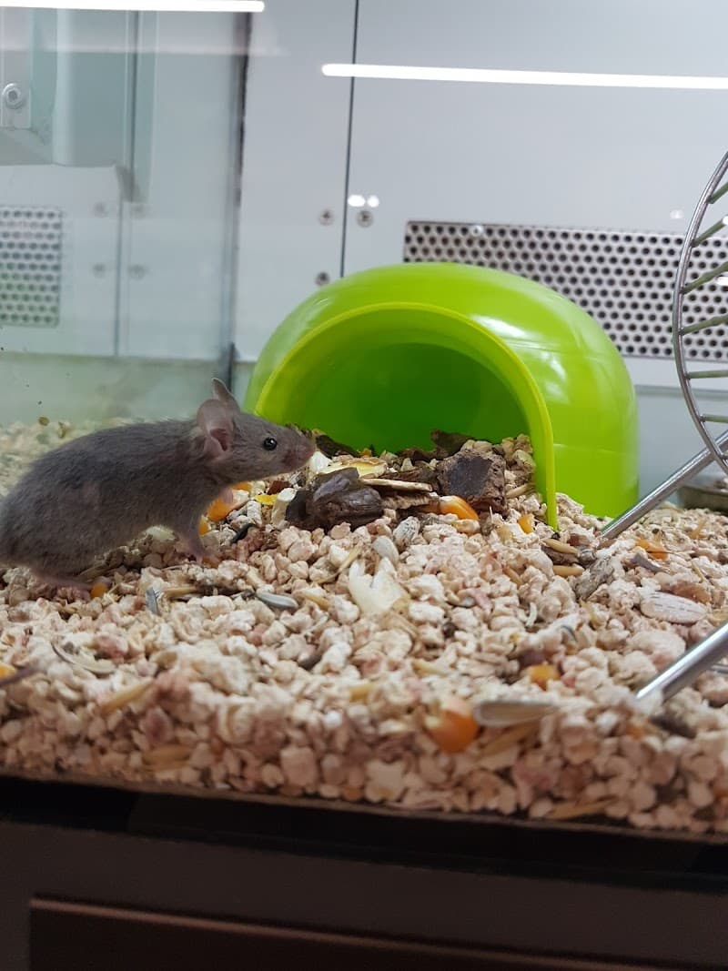 S.D.S. Ecologica Disinfestazione