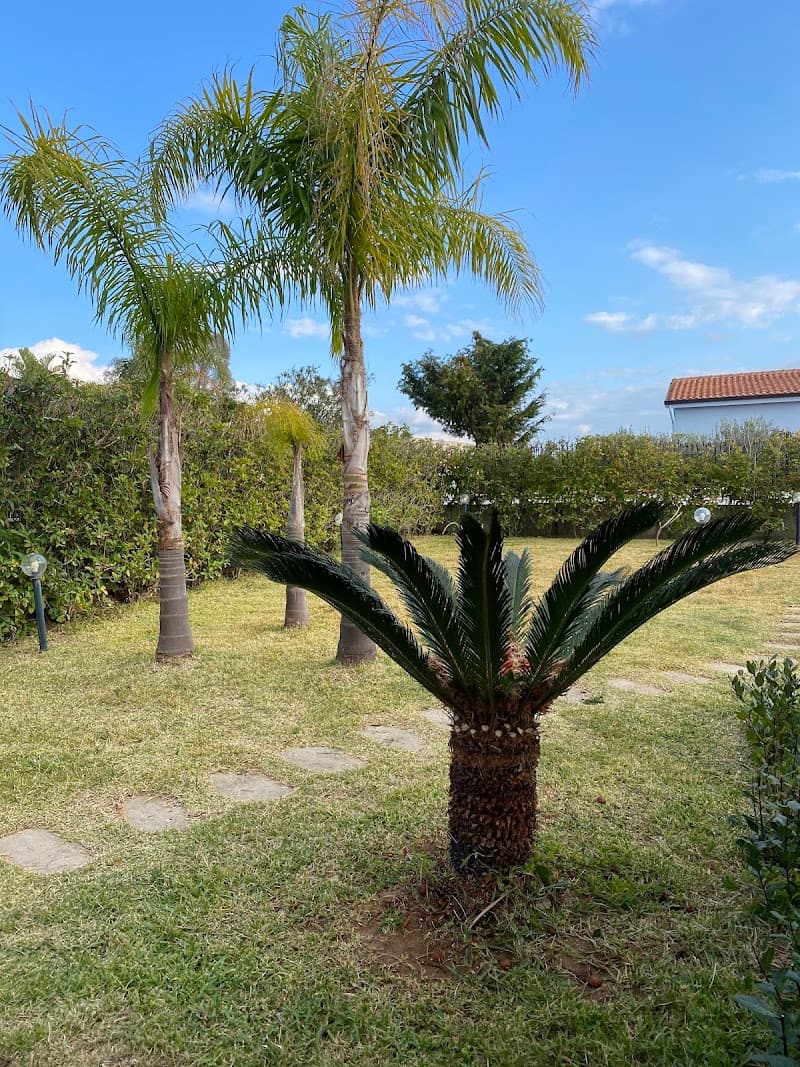 Vivere Verde|Giardinaggio